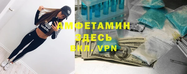 амф Богородицк