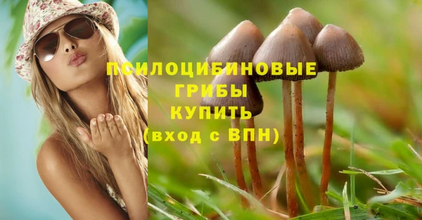 прущие крисы Богородск