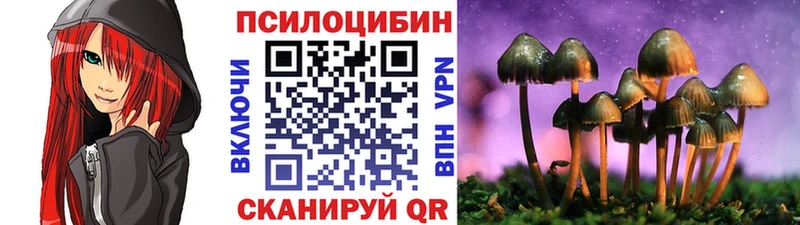 Псилоцибиновые грибы ЛСД Купить закладки Курчалой